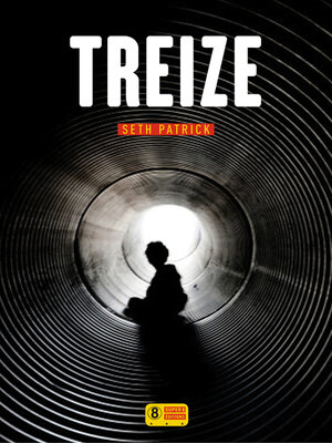 cover image of Treize